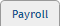 eNETEmployer Payroll tab